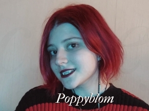 Poppyblom