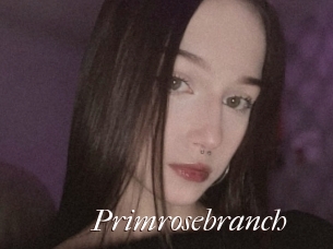 Primrosebranch
