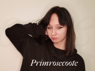 Primrosecoote
