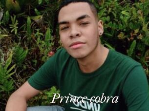 Prince_cobra