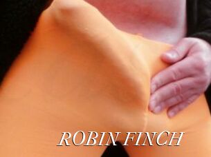 ROBIN_FINCH