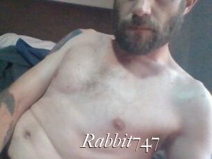 Rabbit747