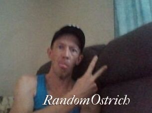 RandomOstrich