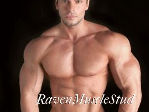 RavenMuscleStud