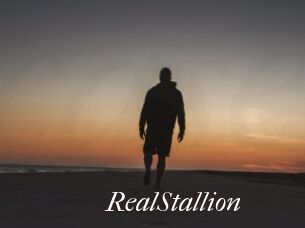 RealStallion