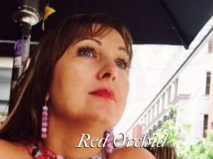 Red_Orchid