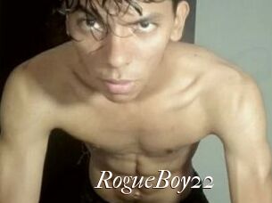 RogueBoy22
