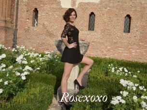 Rosexoxo