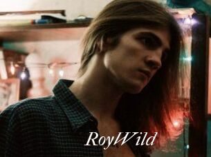 RoyWild