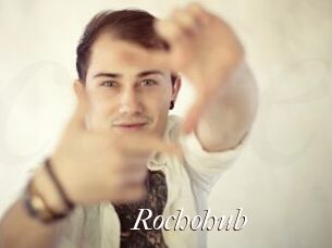 Rochohub