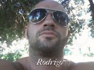 Rodrigo77