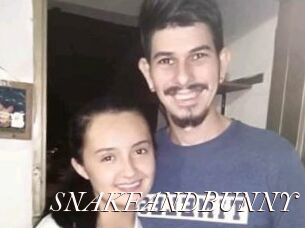 SNAKEANDBUNNY