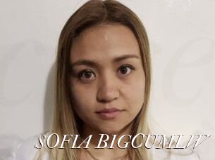 SOFIA_BIGCUMLW