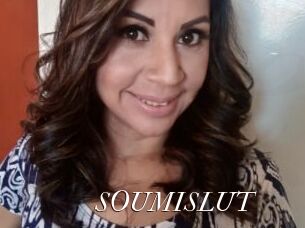 SOUMISLUT