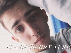 STRAWBERRY_TERRY