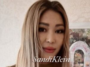 SandiKlein