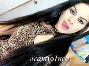 Scart10Inchs