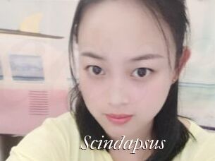 Scindapsus