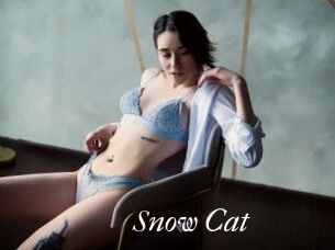 Snow_Cat