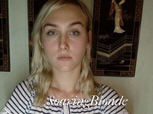 SoaringBlonde
