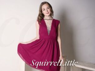 SquirrelLittle