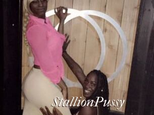 StallionPussy