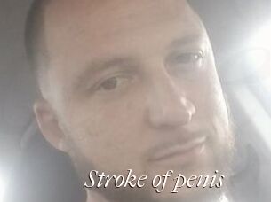 Stroke_of_penis