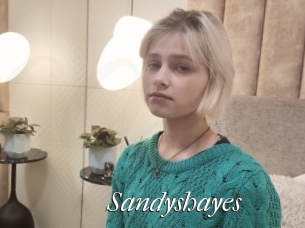 Sandyshayes