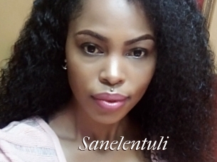 Sanelentuli