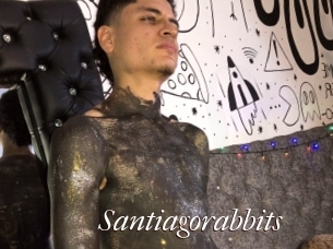 Santiagorabbits