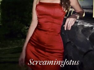 Screaminglotus