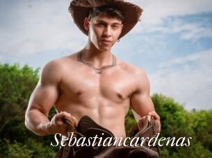Sebastiancardenas