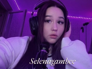 Selenagambee