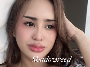 Shadowreed