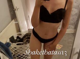 Shakethatass13