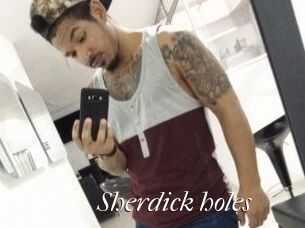 Sherdick_holes