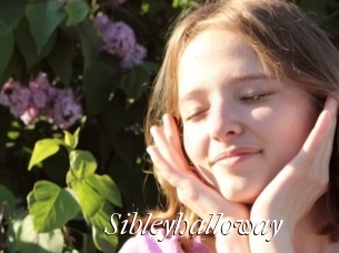 Sibleyhalloway