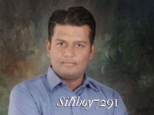 Siliboy7291