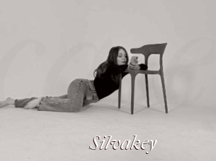 Silvakey