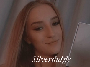 Silverdidgle