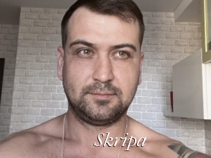 Skripa