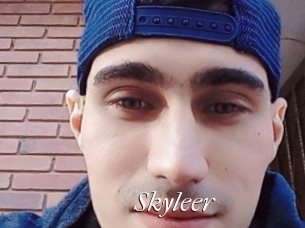 Skyleer