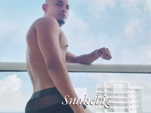 snakebig Cam Sexy