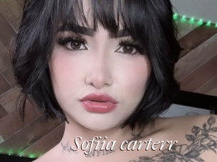 Sofiia_carterr