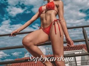 Sophycardona