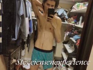 Stevejensenexperience