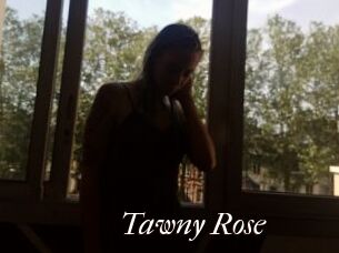 Tawny_Rose