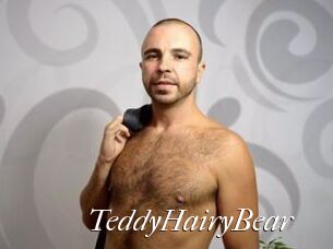 TeddyHairyBear