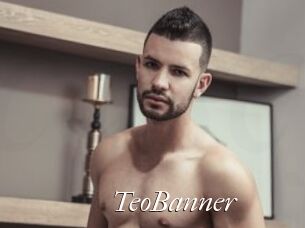 TeoBanner