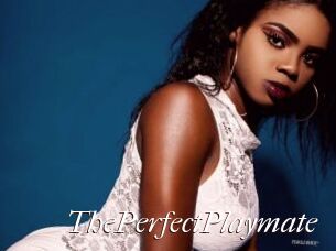 ThePerfectPlaymate